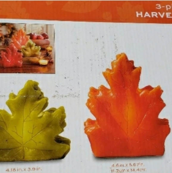 harvest LED light set 🍁 - Picture 5 of 5